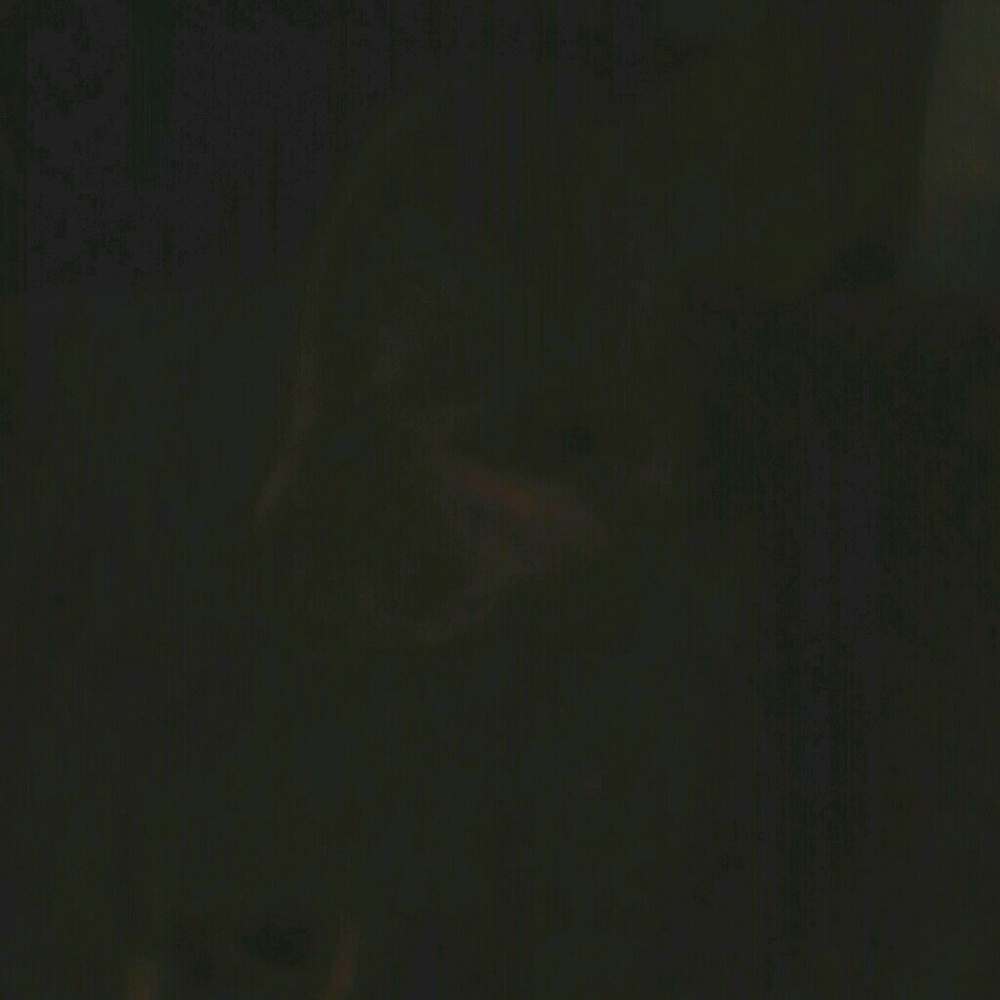 Meet your Posher, Seashell